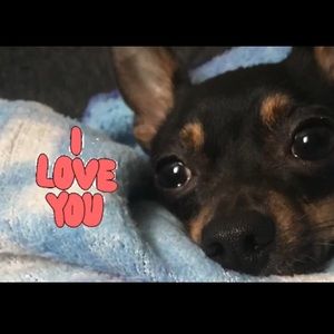 Meet your Posher, Rubi